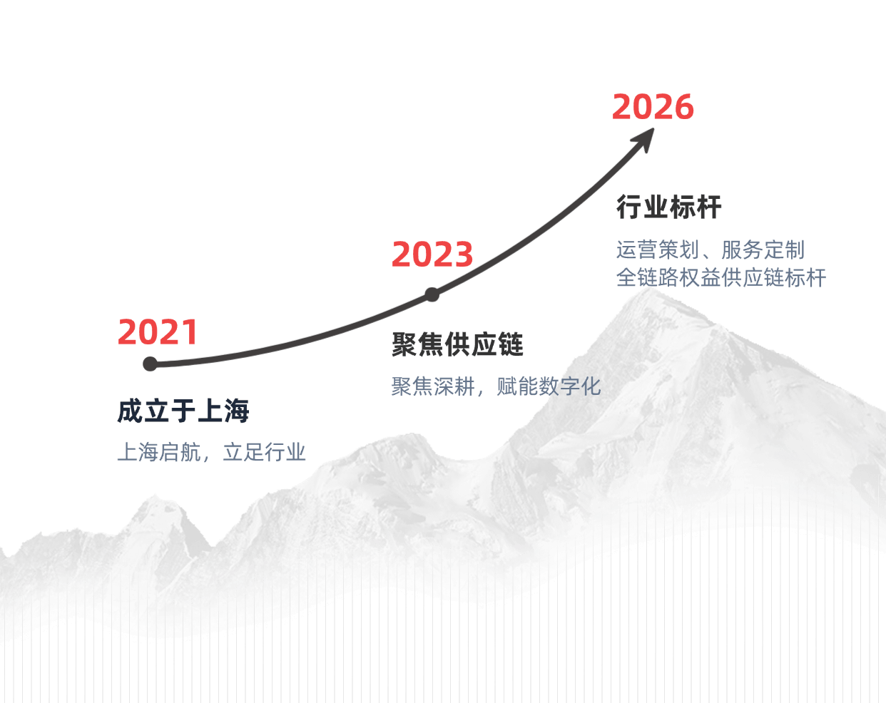发展历程：成长曲线与里程碑